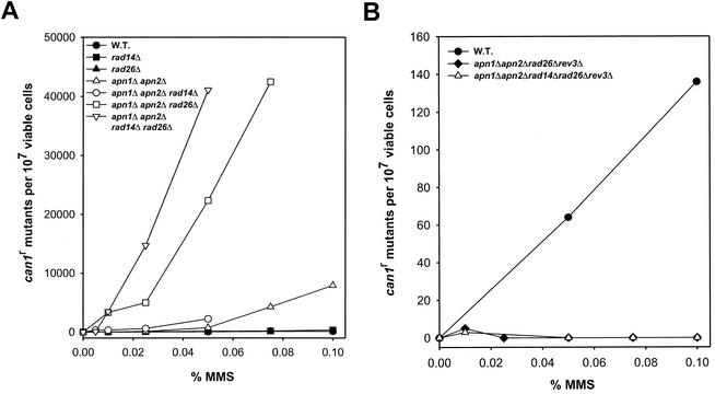 FIG. 3.