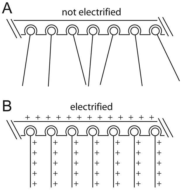 Fig. 8.