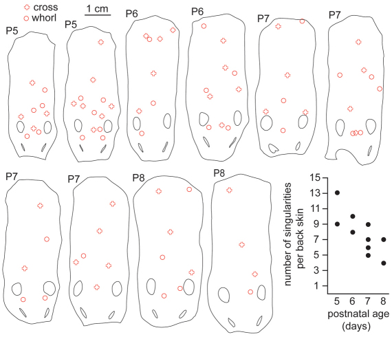 Fig. 7.