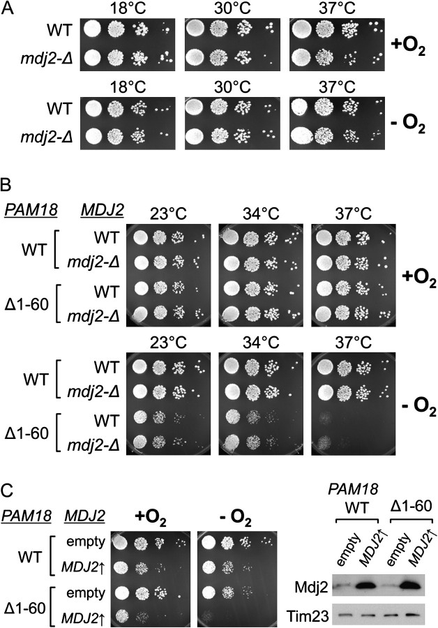 FIG. 7.