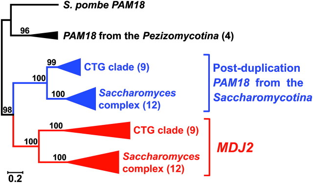 FIG. 2.