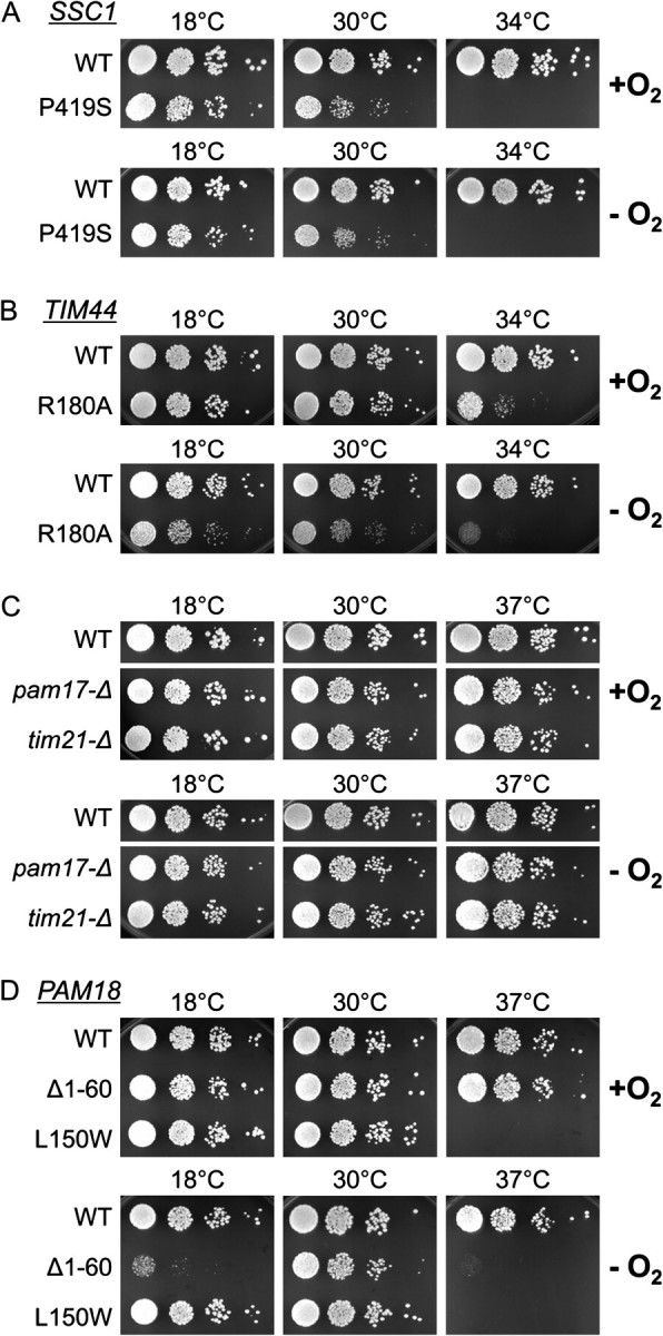 FIG. 6.