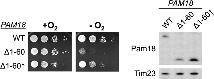 FIG. 8.