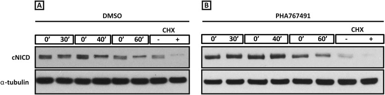 Figure 6—figure supplement 1.