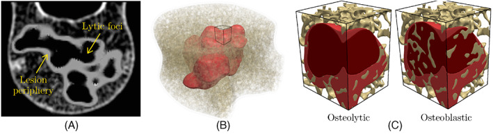 FIGURE 9