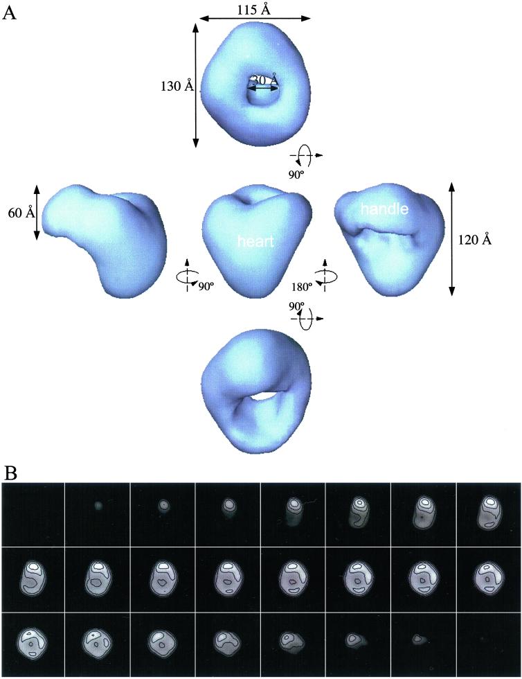 Fig 3.