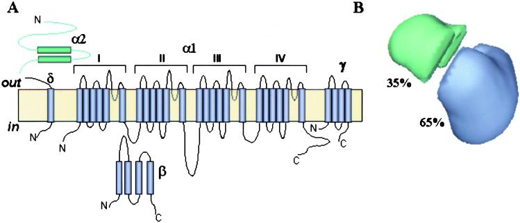 Fig 4.