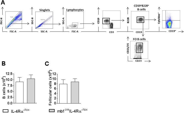 Fig. S5.