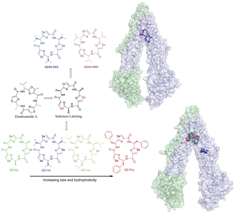 Figure 3.