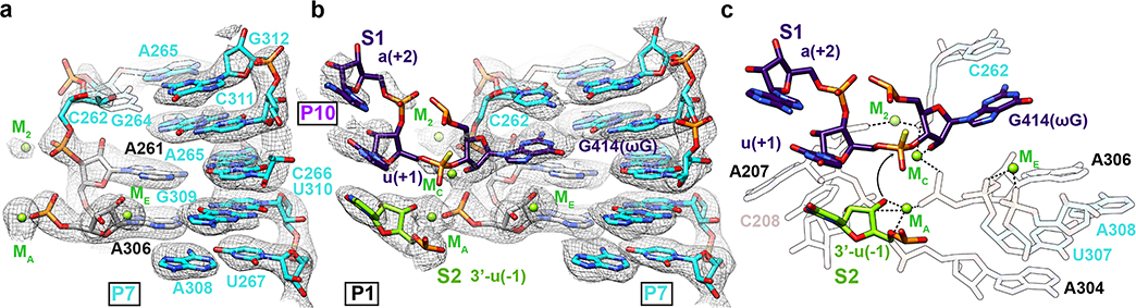 Figure 4.