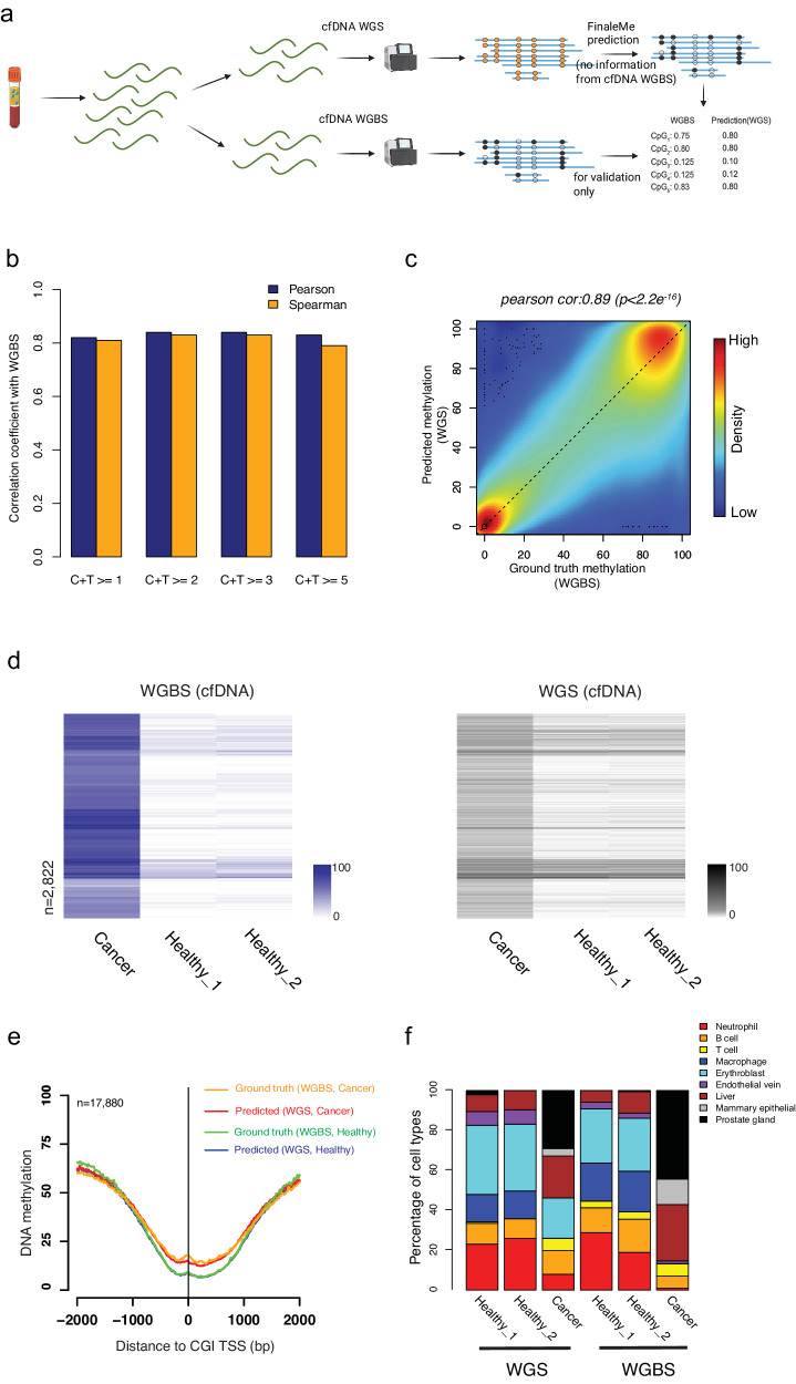 FinaleMe: Predicting DNA methylation by the fragmentation patterns of ...