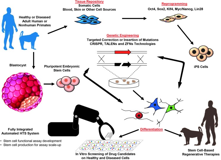 graphic file with name fig-1.jpg