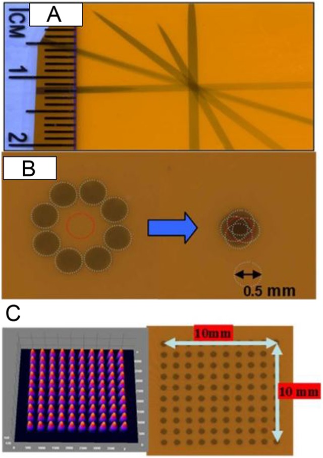 Figure 3.