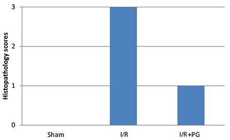 Graphic 1