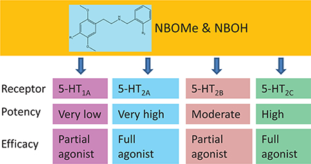 graphic file with name nihms-1508624-f0001.jpg