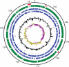 Fig. 1.