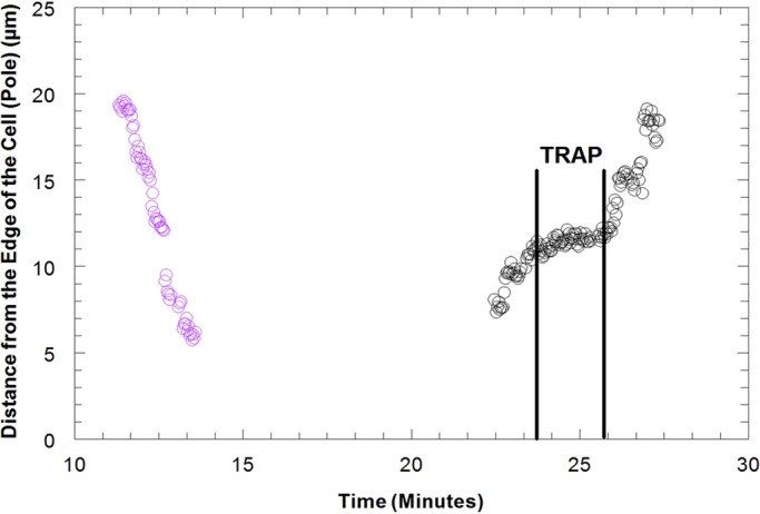 Figure 5: