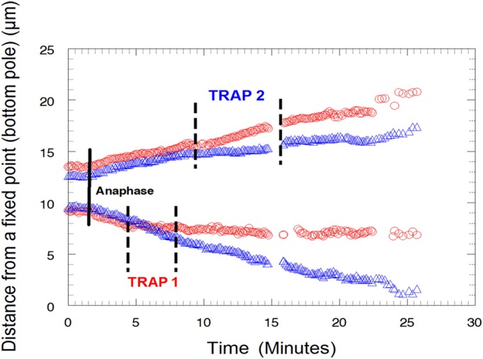 Figure 6: