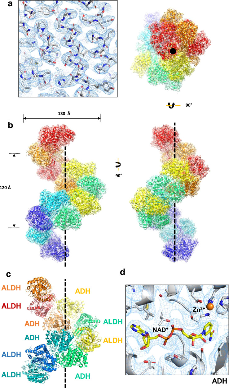 Fig. 2