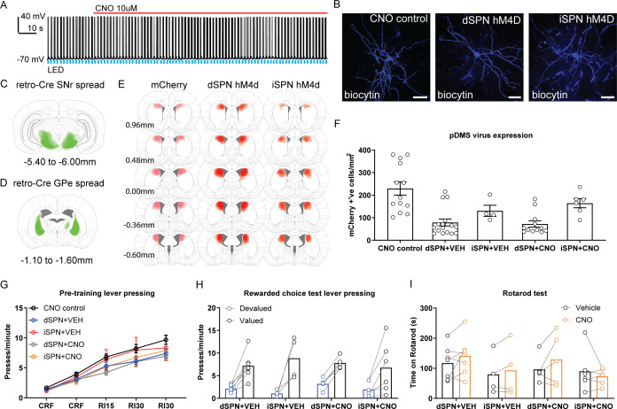 Figure 2—figure supplement 1.