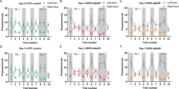 Figure 5—figure supplement 1.