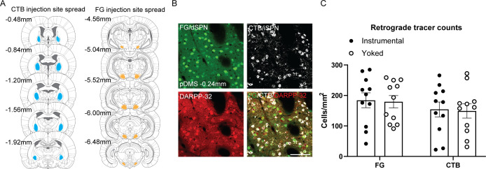 Figure 1—figure supplement 1.