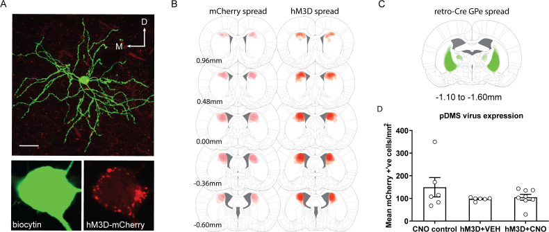 Figure 3—figure supplement 1.