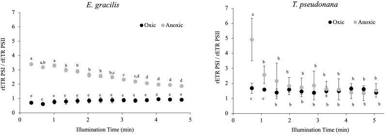 Figure 7