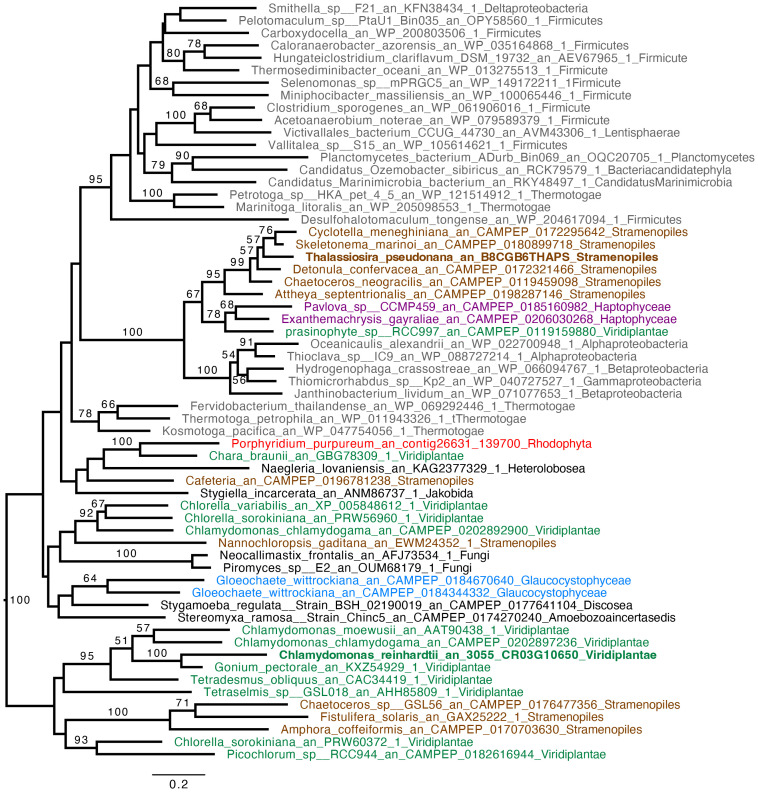 Figure 3