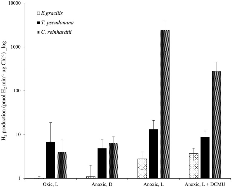 Figure 4
