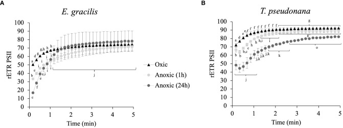 Figure 5