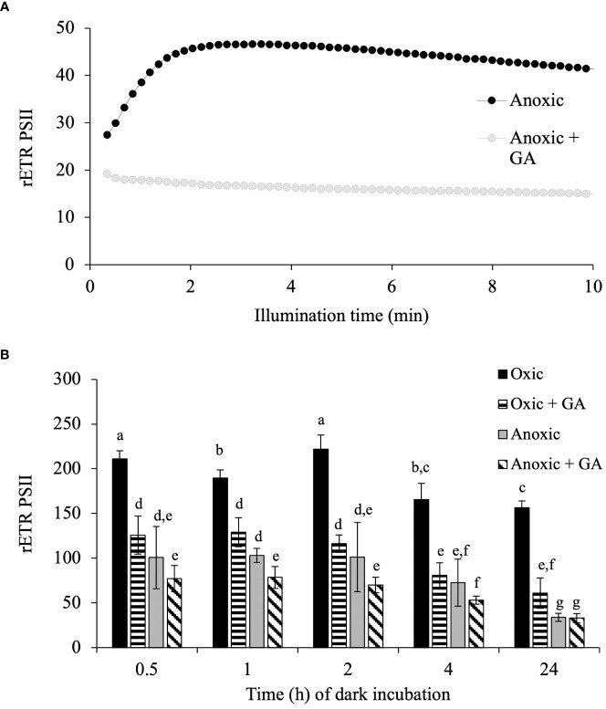 Figure 6