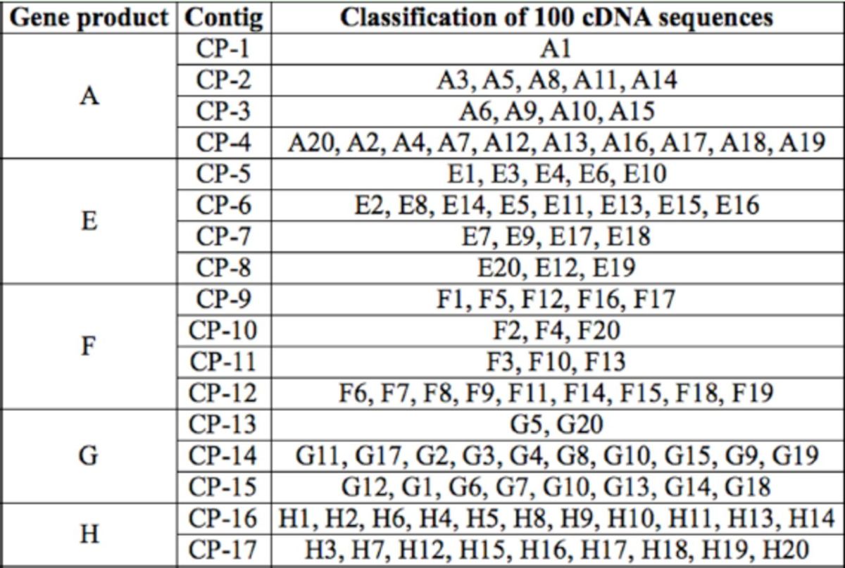 graphic file with name jis-14-1-0028-tab3.jpg