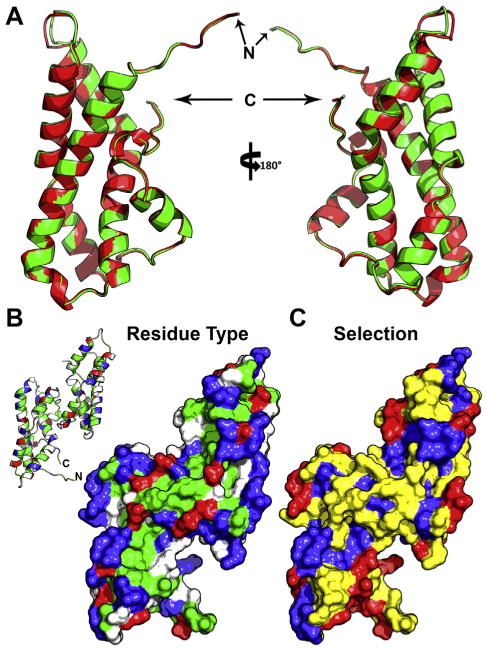 Fig. 3