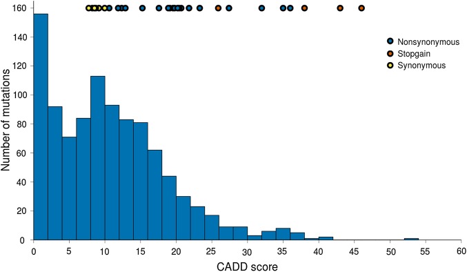 Figure 1