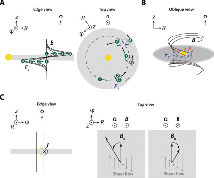 Fig. 3