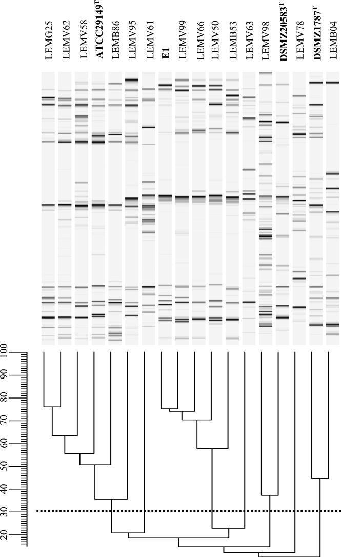 FIG. 1.