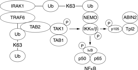 FIG. 7.