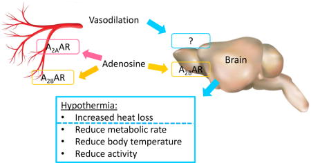 graphic file with name nihms951151u1.jpg