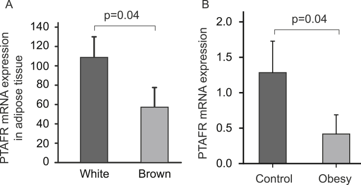 Fig. 4