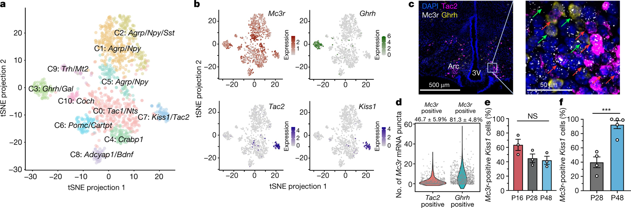 Fig. 4 |