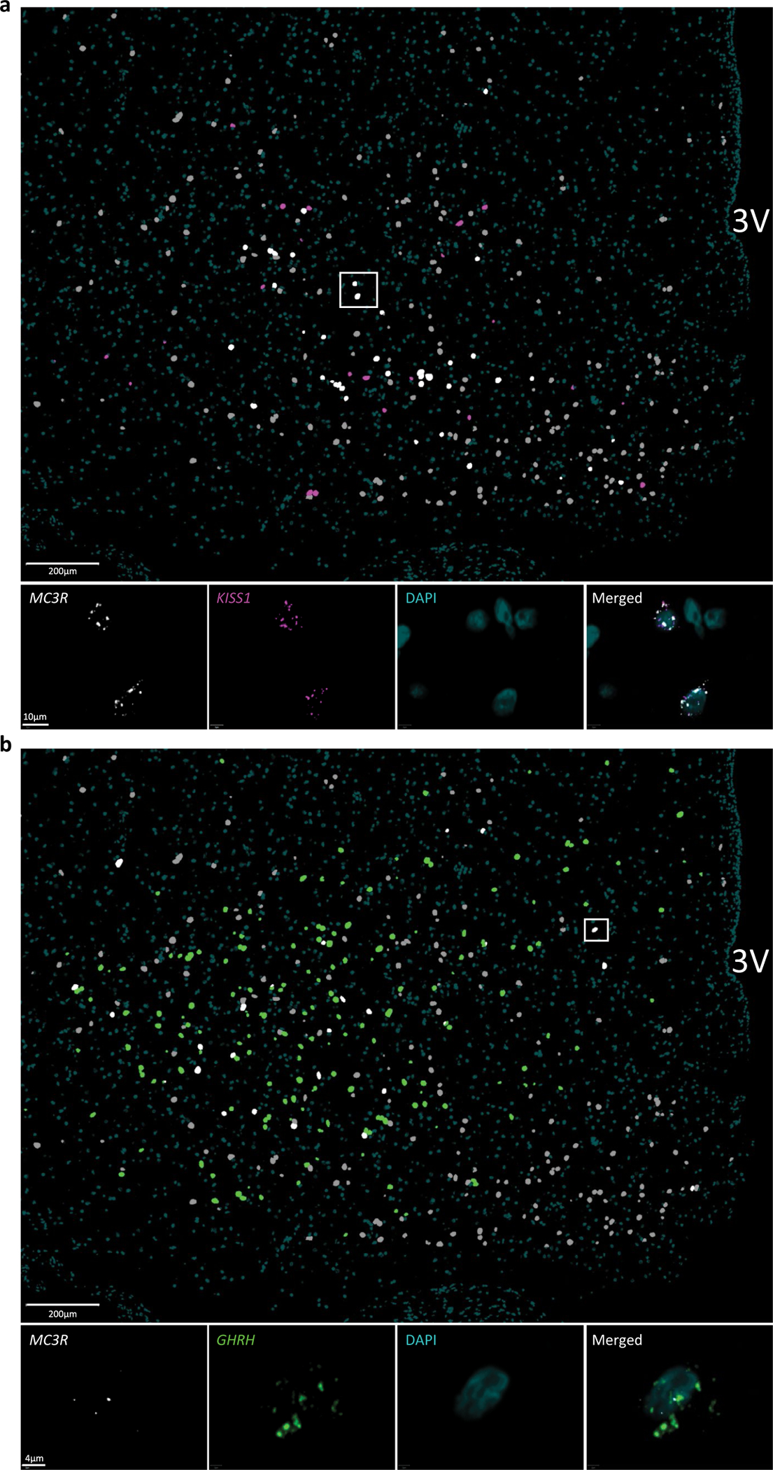 Extended Data Fig. 7 |