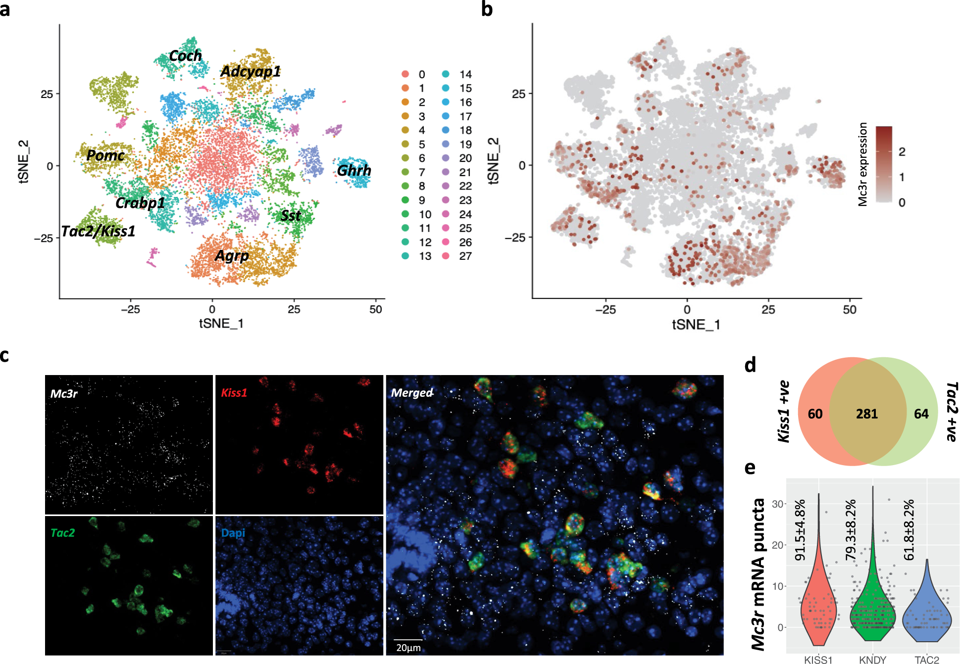 Extended Data Fig. 5 |