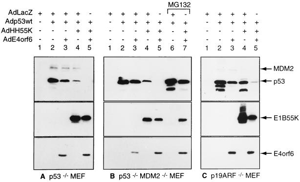 FIG. 6