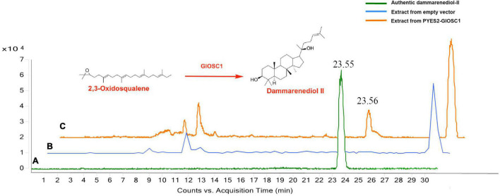 FIGURE 7