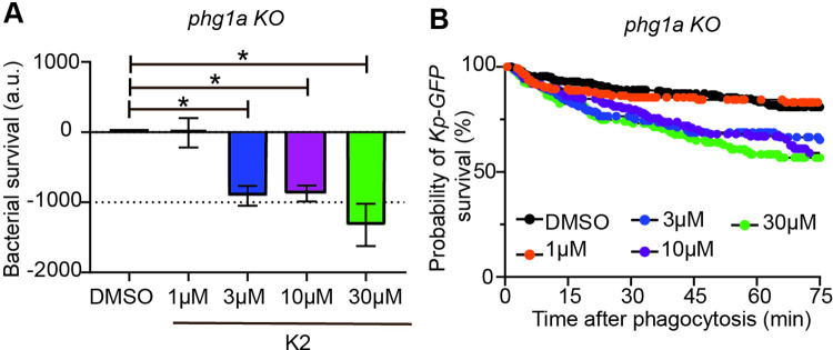 Fig 4