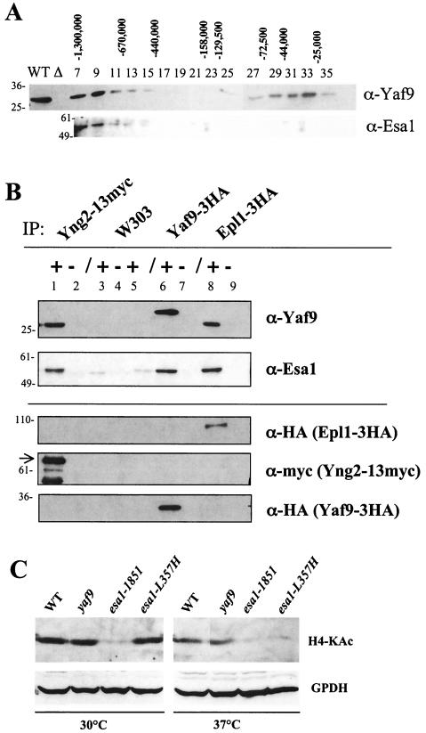 FIG. 6.