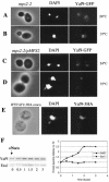 FIG. 7.