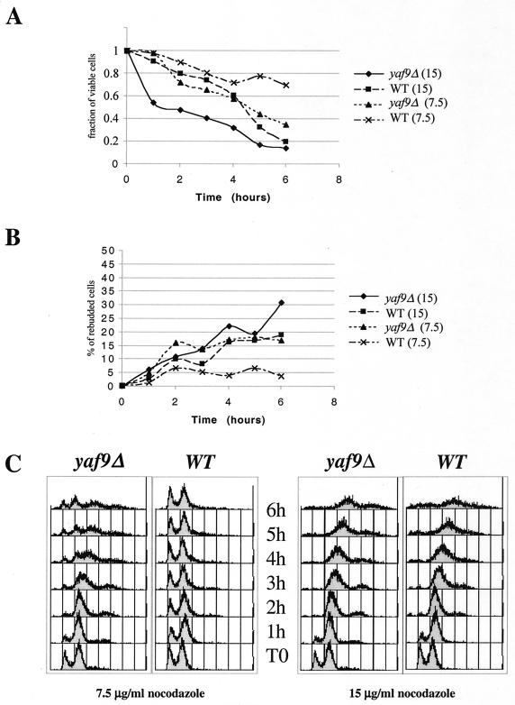 FIG. 4.