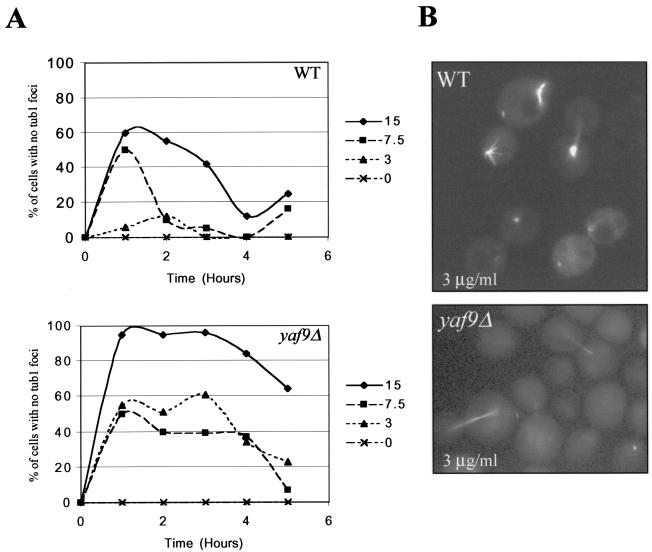 FIG. 5.